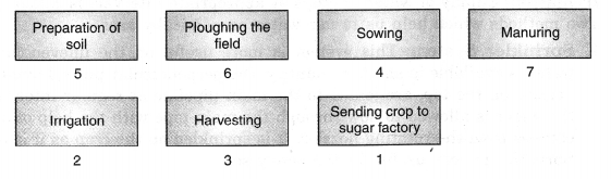 NCERT Solutions for Class 8 Science Chapter 1 Crop Production and Management 2