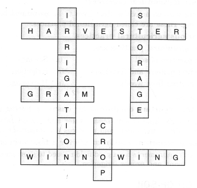 NCERT Solutions for Class 8 Science Chapter 1 Crop Production and Management 3