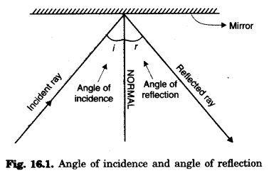 NCERT Solutions for Class 8 Science Chapter 16 Light 1