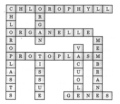 NCERT Solutions for Class 8 Science Chapter 8 Cell Structure and Functions 3