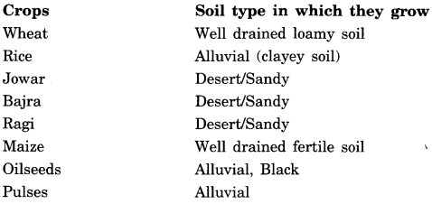 NCERT Solutions for Class 8 Social Science Geography Chapter 4 Agriculture 1