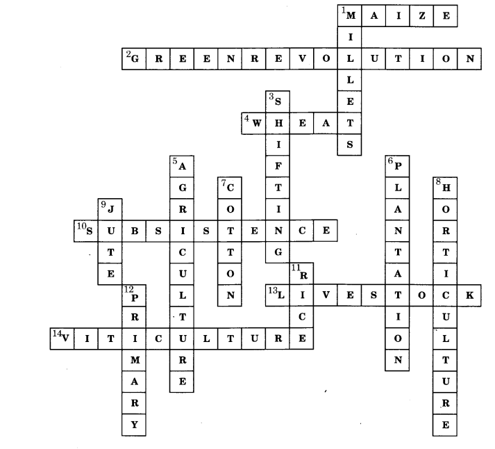 NCERT Solutions for Class 8 Social Science Geography Chapter 4 Agriculture 2