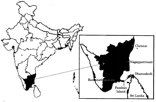 NCERT Solutions for Class 9 English Beehive Chapter 6 My Childhood 1