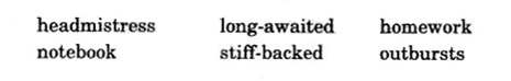 NCERT Solutions for Class 10 English First Flight Chapter 4 From the Diary of Anne Frank 1