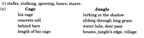 NCERT Solutions for Class 10 English First Flight Poem Chapter 3 A Tiger in the Zoo NCERT Solutions for Class 10 English First Flight Poem Chapter 3 A Tiger in the Zoo