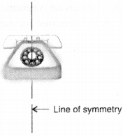 NCERT Solutions for Class 6 Maths Chapter 13 Symmetry 5