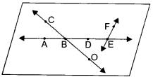 NCERT Solutions for Class 6 Maths Chapter 4 Basic Geometrical Ideas 4