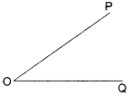 NCERT Solutions for Class 6 Maths Chapter 4 Basic Geometrical Ideas 8