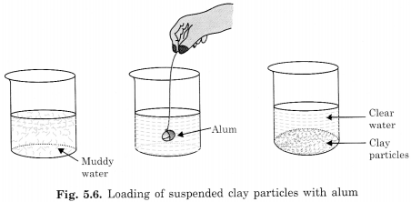 NCERT Solutions for Class 6 Science Chapter 5 Separation of Substances 5