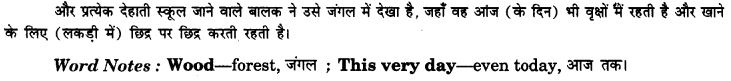 NCERT Solutions for Class 9 English Beehive Poem Chapter 5 A Legend of the Northland 16