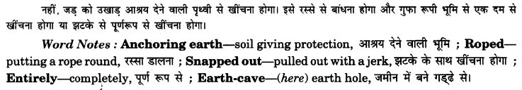 NCERT Solutions for Class 9 English Beehive Poem Chapter 8 On Killing a Tree 3
