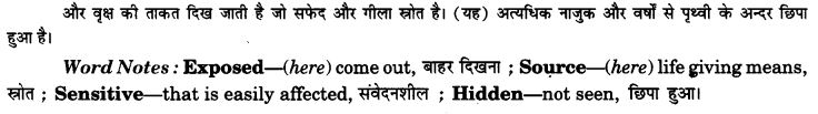 NCERT Solutions for Class 9 English Beehive Poem Chapter 8 On Killing a Tree 4
