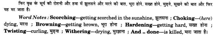 NCERT Solutions for Class 9 English Beehive Poem Chapter 8 On Killing a Tree 5