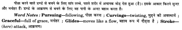 NCERT Solutions for Class 9 English Beehive Poem Chapter 9 The Snake Trying 1