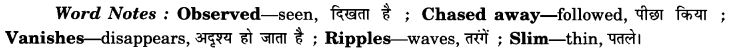 NCERT Solutions for Class 9 English Beehive Poem Chapter 9 The Snake Trying 4