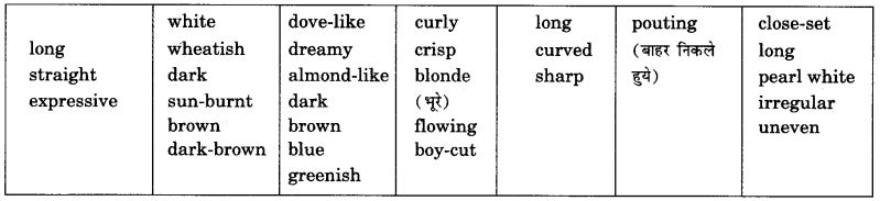 NCERT Solutions for Class 9 English Main Course Book Unit 1 People Chapter 2 A Burglary Attempt 7