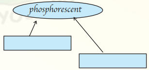 NCERT Solutions for Class 9 English Main Course Book Unit 2 Adventure Chapter 3 Ordeal in the Ocean 6