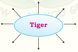 NCERT Solutions for Class 9 English Main Course Book Unit 3 Environment Chapter 3 Save the Tiger 2