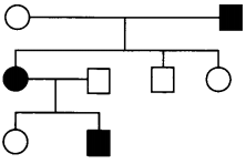 CBSE Sample Papers for Class 12 Biology Paper 2.1