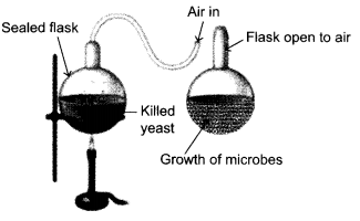 CBSE Sample Papers for Class 12 Biology Paper 2.3