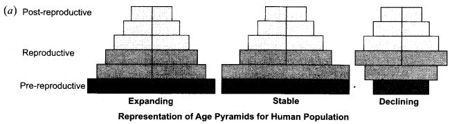 CBSE Sample Papers for Class 12 Biology Paper 2.7