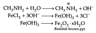 CBSE Sample Papers for Class 12 Chemistry Paper 1 Q.24.1