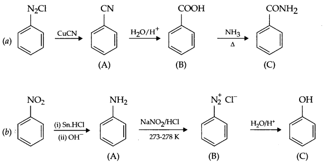 CBSE Sample Papers for Class 12 Chemistry Paper 2 Q.19.2