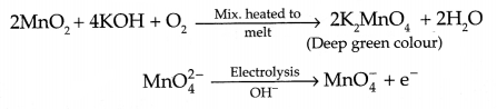 CBSE Sample Papers for Class 12 Chemistry Paper 7 Q.24.1