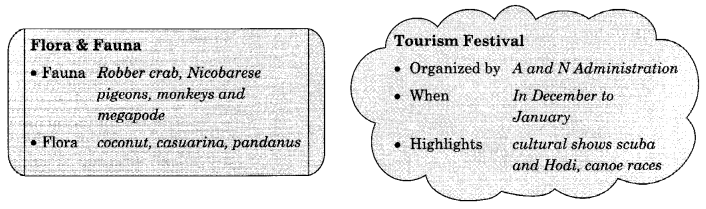 NCERT Solutions for Class 10 English Main Course Book Unit 5 Travel and Tourism Chapter 3 The Emerald Islands 2