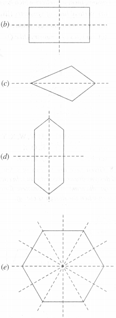 NCERT Solutions for Class 6 Maths Chapter 13 Symmetry 29