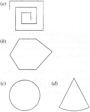 NCERT Solutions for Class 6 Maths Chapter 5 Understanding Elementary Shapes 25