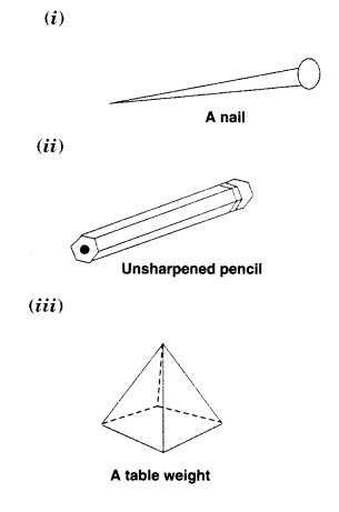 NCERT Solutions for Class 8 Maths Chapter 10 Visualising Solid Shapes Ex 10.3 1