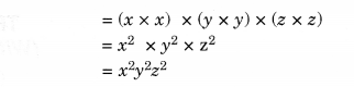 NCERT Solutions for Class 8 Maths Chapter 9 Algebraic Expressions and Identities Ex 9.2 11