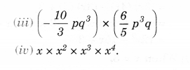 NCERT Solutions for Class 8 Maths Chapter 9 Algebraic Expressions and Identities Ex 9.3 10
