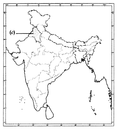 CBSE Sample Papers for Class 10 Social Science in Hindi Medium Paper 1 2