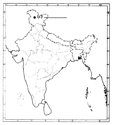 CBSE Sample Papers for Class 10 Social Science in Hindi Medium Paper 2 2