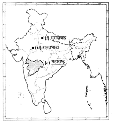 CBSE Sample Papers for Class 10 Social Science in Hindi Medium Paper 5 4