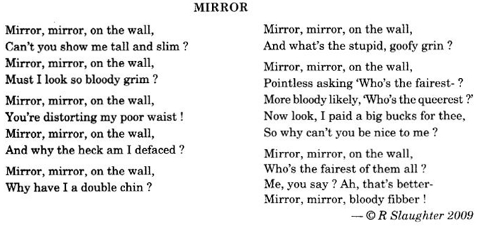 NCERT Solutions for Class 10 English Literature Chapter 8 Mirror 1