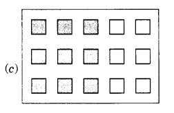 NCERT Solutions for Class 7 Maths Chapter 2 Fractions and Decimals Ex 2.2 10