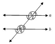 NCERT Solutions for Class 7 Maths Chapter 5 Lines and Angles Ex 5.2 2