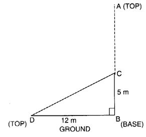 NCERT Solutions for Class 7 Maths Chapter 6 The Triangle and its Properties Ex 6.5 5