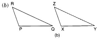 NCERT Solutions for Class 7 Maths Chapter 7 Congruence of Triangles Ex 7.2 2