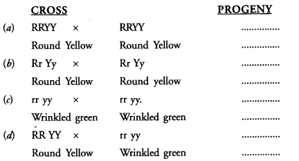 NCERT Exemplar Solutions for Class 10 Science Chapter 9 Heredity and Evolution image - 1