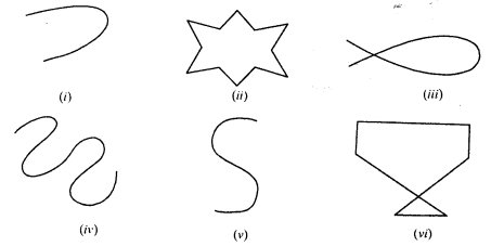 RD Sharma Class 8 Solutions Chapter 15 Understanding Shapes I Ex 15.1 2