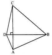 RD Sharma Class 8 Solutions Chapter 17 Understanding Shapes III Ex 17.2 1