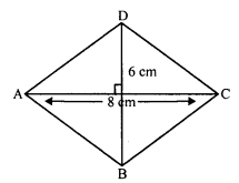 RD Sharma Class 8 Solutions Chapter 17 Understanding Shapes III Ex 17.2 11