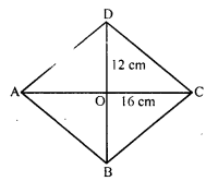 RD Sharma Class 8 Solutions Chapter 17 Understanding Shapes III Ex 17.2 3