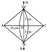 RD Sharma Class 8 Solutions Chapter 17 Understanding Shapes III Ex 17.2 4