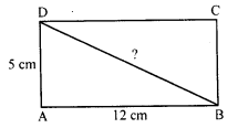 RD Sharma Class 8 Solutions Chapter 17 Understanding Shapes III Ex 17.3 4