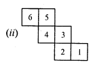 RD Sharma Class 8 Solutions Chapter 19 Visualising Shapes Ex 19.2 10